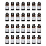 Homeopathic Kit of Polychrests Containing 28 Most Commonly Used Remedies in 30C Potency - 10ml Glass Container